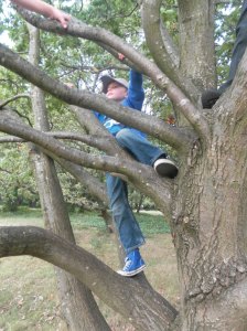 Tree climbing