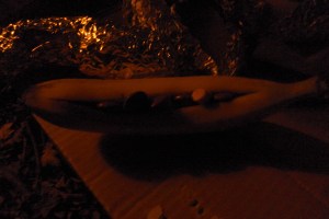 SAMSUNG DIGITAL CAMERA