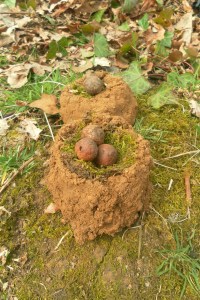 SAMSUNG DIGITAL CAMERA