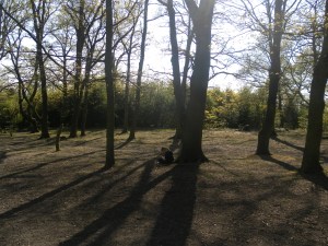 Listening to bird song 