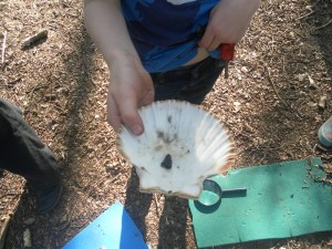 Achievement! Fire lighting with pieces of King Alfred's Cake fungus