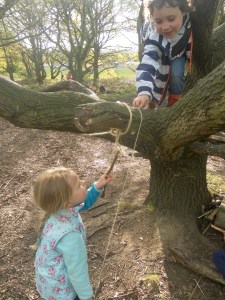 Inventions: a "tree bark polisher"
