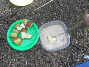 SAMSUNG DIGITAL CAMERA