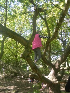 SAMSUNG DIGITAL CAMERA