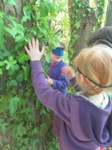 SAMSUNG DIGITAL CAMERA