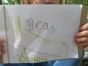 Investigating plants