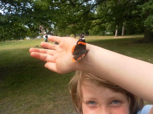 Our Red Admiral friend