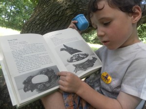 Enjoying an old book about woodcraft