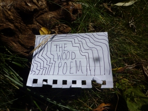 Poetry inspired by the woodland