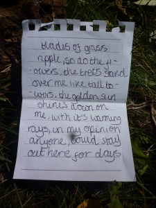 Poetry inspired by the woodland