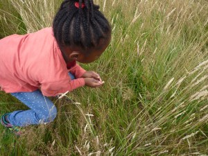 Catching Grasshoppers!