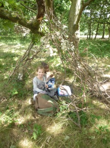 Picnic lunch in your den!