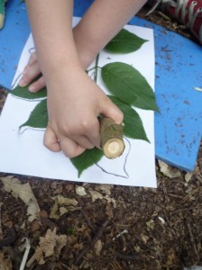 Making Elder charcoal pencils