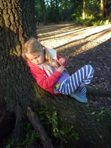 Relaxing in the afternoon Autumn sun